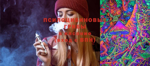 apvp Балахна
