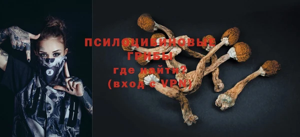 apvp Балахна