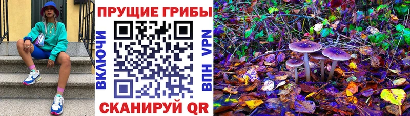 Псилоцибиновые грибы Psilocybine cubensis  где можно купить   Нерюнгри 